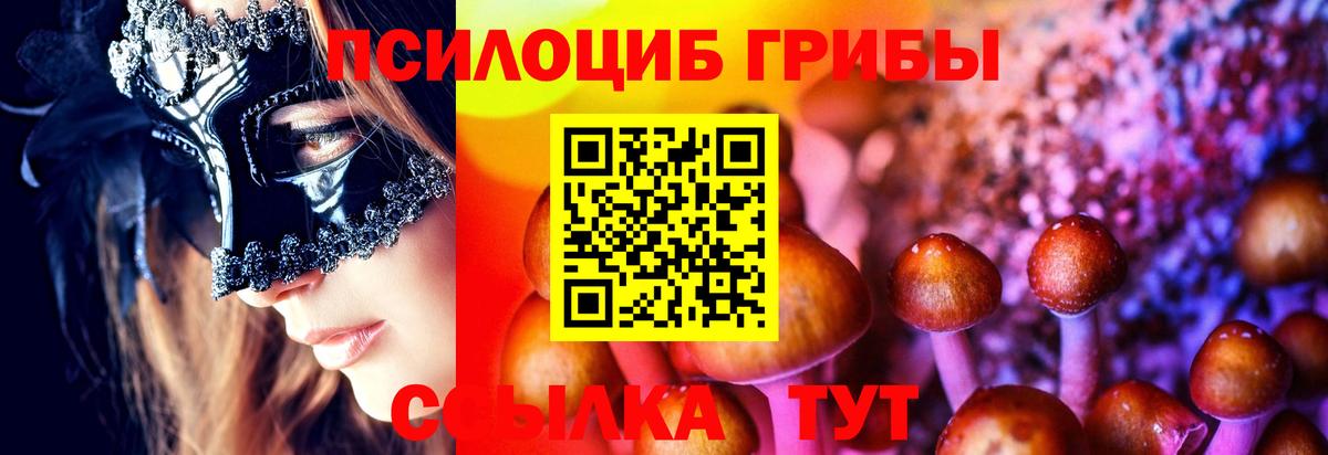Прокопьевск  Псилоцибиновые грибы GOLDEN TEACHER  Вход с VPN  как найти   Псилоцибиновые грибы Psilocybine cubensis 